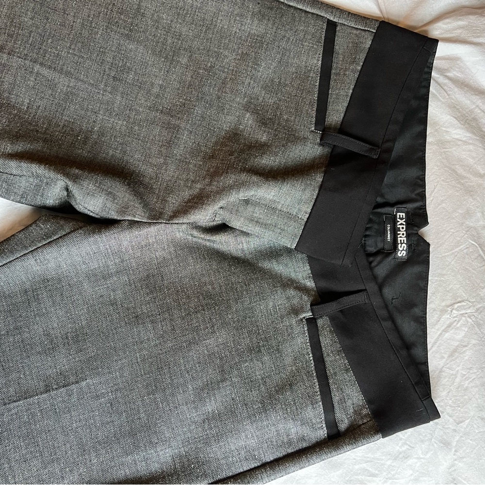 Express Columnist Pants - In Short Size! - image 3